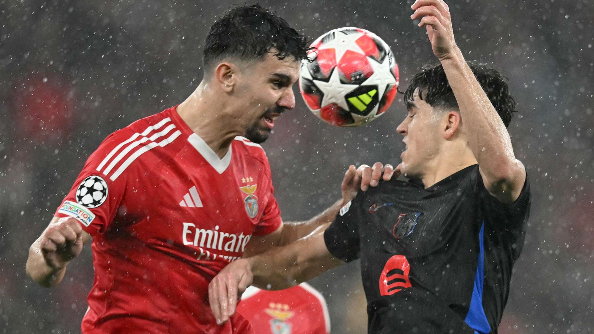 对低碳经济 对低碳经济